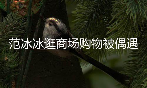 打扮低调多冰逛被偶被赞购物遇 范冰发量商场